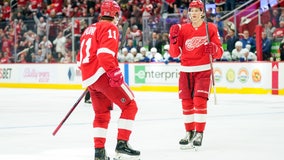 Greiss makes 40 saves as Red Wings beat Canucks 3-1