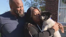 Detroit family reunited with lost Pomerian after 10 months