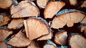 Michigan proposes quarantining some firewood to kill pests