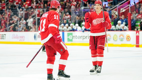 Greiss makes 40 saves as Red Wings beat Canucks 3-1