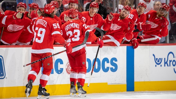 Raymond scores 1st NHL goal, Red Wings top Blue Jackets 4-1