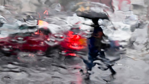 Metro Detroit Weather: How much rain have we actually gotten this year