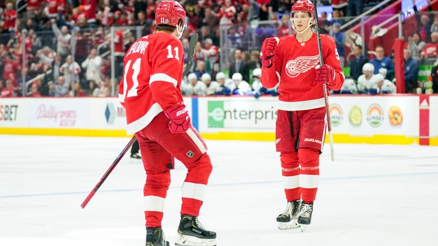 Greiss makes 40 saves as Red Wings beat Canucks 3-1