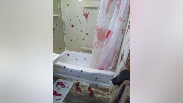 Michigan's own Bates Motel adds 'Psycho' themed room