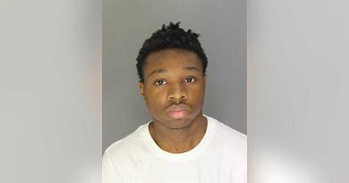 Man accused of fleeing scene after hitting, killing girl in Dearborn ...