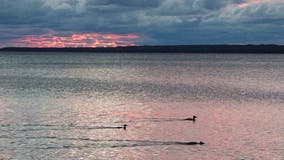 Body found 12 miles off Lake Michigan shore