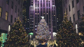 After the holidays, New York's Rockefeller Center Christmas Tree becomes homes for needy families