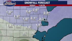 Metro Detroit weather: 1 to 2 inches of snow expected this weekend