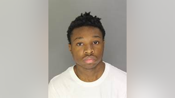 Man accused of fleeing scene after hitting, killing girl in Dearborn faces charges