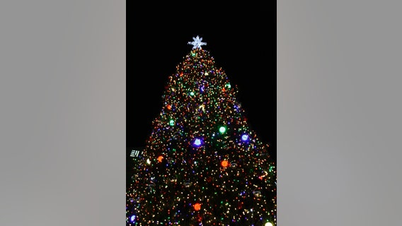 What to know about the 2021 Detroit Tree Lighting at Campus Martius