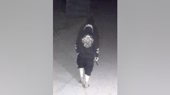 Canton police seek vandal who lit school dumpster on fire