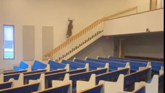 That's one way to open hunting season - deer filmed running through Michigan church