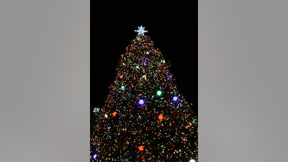 What to know about the 2021 Detroit Tree Lighting at Campus Martius