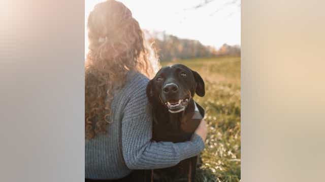 Metro Detroit photographer offers free end-of-life photo sessions for pets about to cross Rainbow Bridge