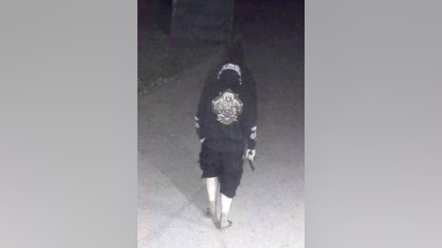 Canton police seek vandal who lit school dumpster on fire