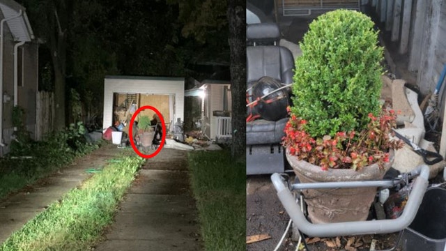 Checks, plants, computer recovered after being stolen from Detroit business