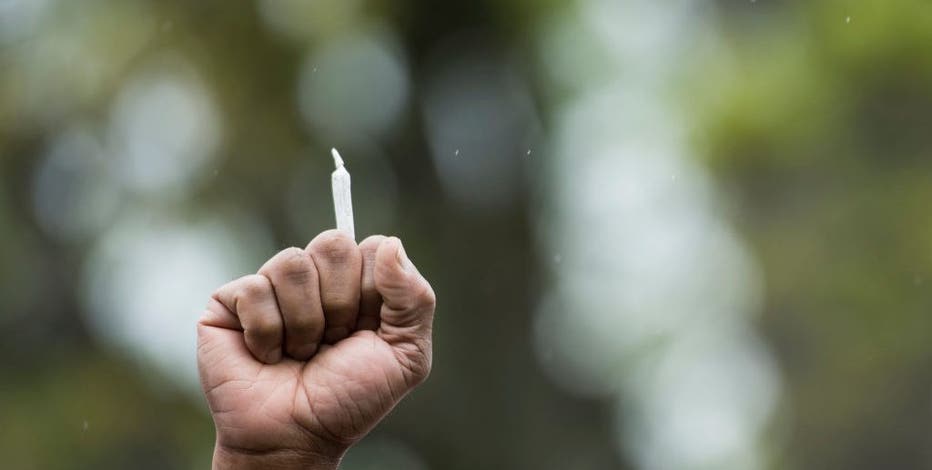 Cannabis industry sues Michigan over massive wholesale tax tied to road funding plan