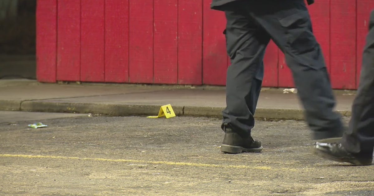 Woman fatally shot by Detroit police, carjacking footage out of Livonia ...