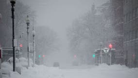 What is a snow squall and what makes it so dangerous for drivers?