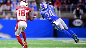 Cardinals lose chance to clinch, fall 30-12 to Lions