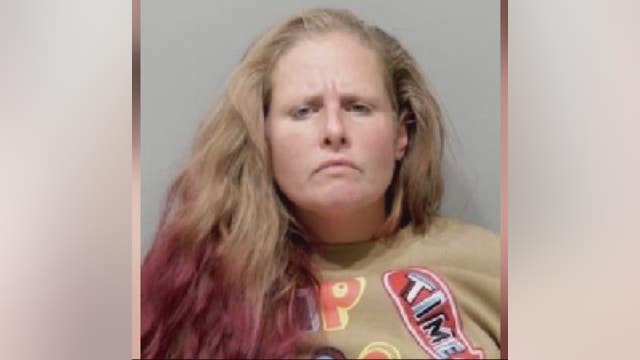 Woman charged with kidnapping 4 small children; officers praised for arrest before they were harmed