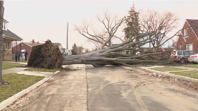 90 percent of DTE customers have power back, following severe weekend wind