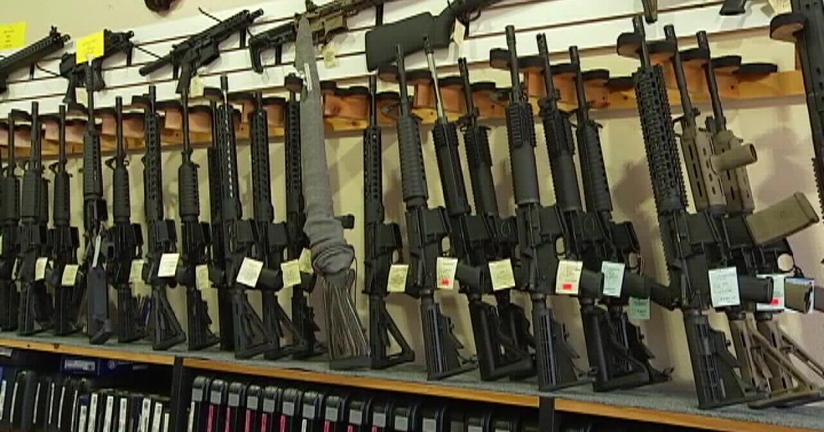 Red flag laws, safe storage, and more -- Michigan Senate expected to ...