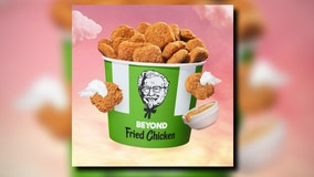 KFC's Beyond Fried Chicken debuts nationwide on Jan. 10