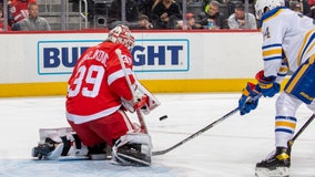 Bertuzzi, Nedeljkovic lead Red Wings past Sabres 4-0