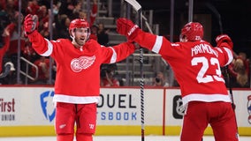 Oesterle scores in OT, Red Wings beat Ducks 2-1