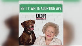 Detroit Dog Rescue's new shelter to play 'Golden Girls' theme when animals leave in honor of Betty White