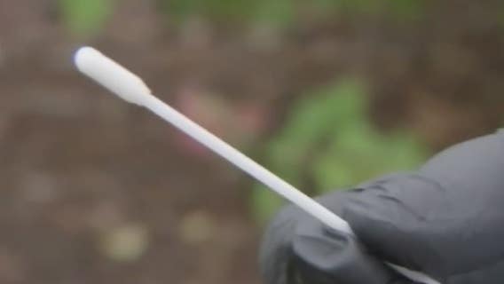 How to report your at home COVID-19 test