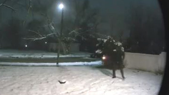 Detroit police looking for tips on 2 arson incidents