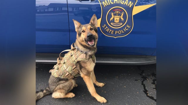 Michigan State Police K9 'Chief' tracks fleeing suspect nearly four miles before arrest