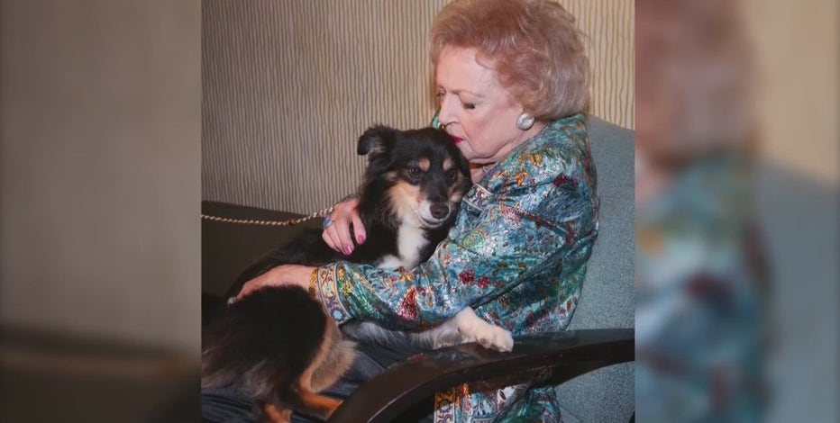 Mini-Betty White,' 12, raises funds for Kent Animal Shelter
