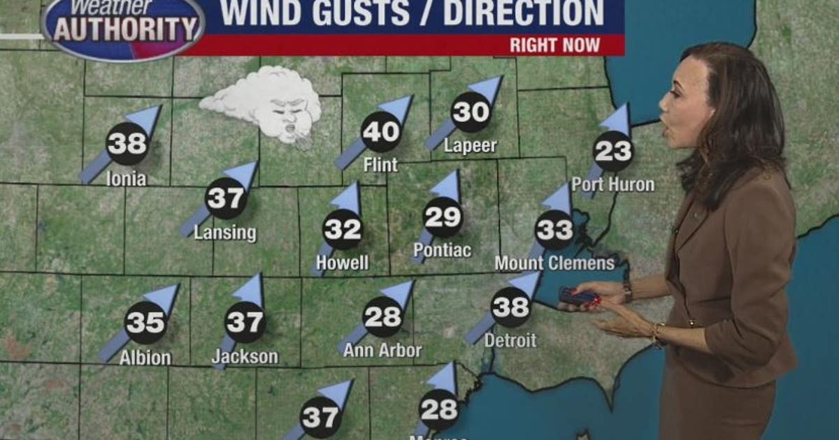 Some snow overnight, wind advisory in effect | FOX 2 Detroit