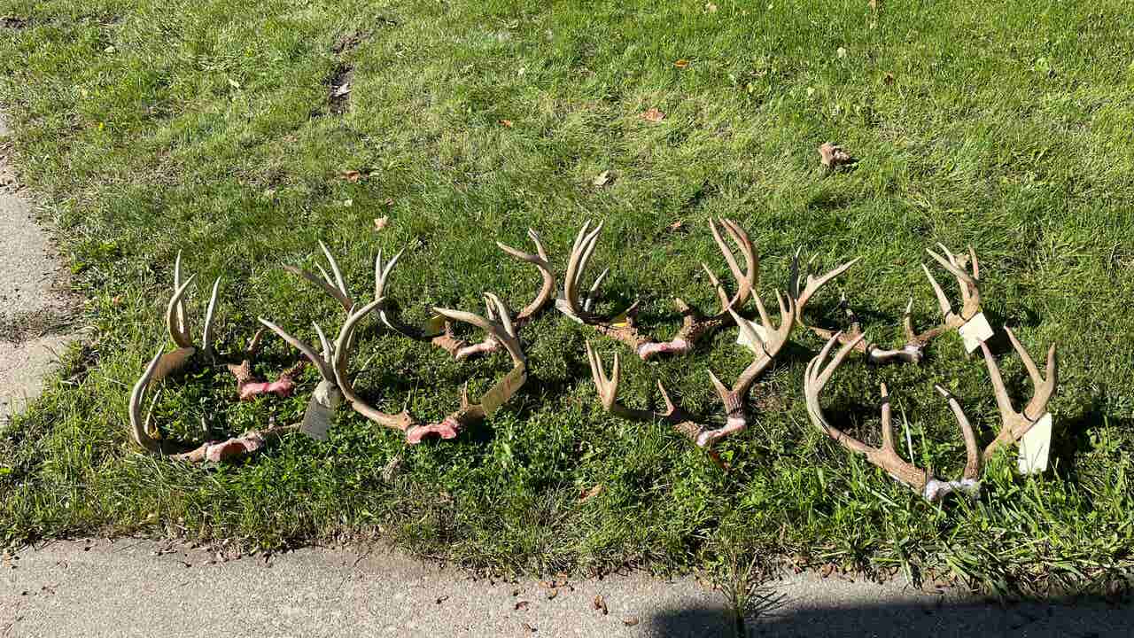 Michigan man jailed, fined, and banned for life from hunting after