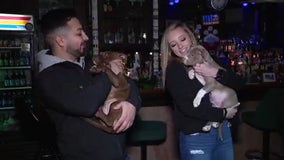 Puppies rescued after Christmas reunited with Detroit police officers that saved them