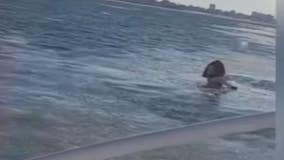 DPD Harbormaster officers rescue man who jumped off Belle Isle bridge