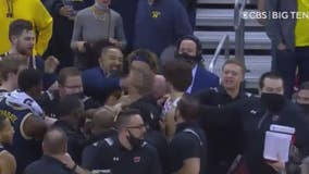 Michigan's Howard suspended 5 games for Wisconsin melee