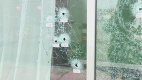 Man arrested for shooting up pharmacy, spa at Warren strip mall