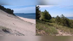 Michigan sand dunes increasingly covered by plants and trees, new study shows