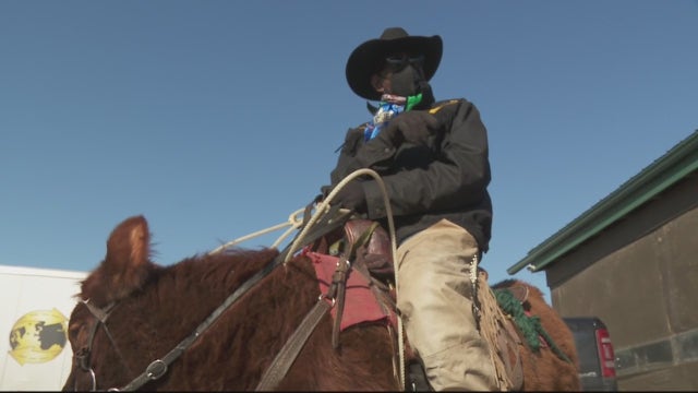 See a man riding a heifer on 7 Mile in Detroit? That's just Cowboy Will doing some training