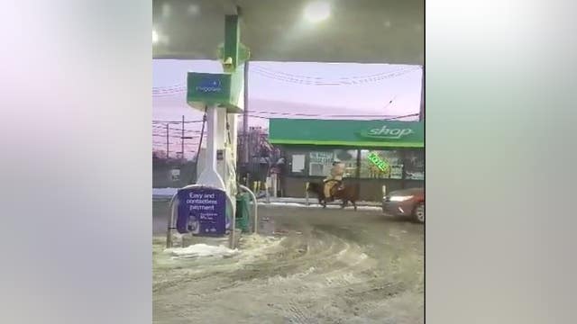 Urban cowboy? Video of man riding steer through Detroit gas station appears online