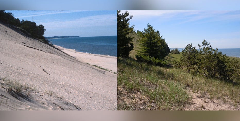 Michigan sand dunes increasingly covered by plants and trees, new study shows