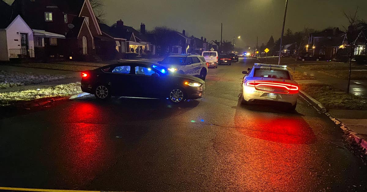 Detroit police confirm Saturday's fatal shooting suspect is in custody ...