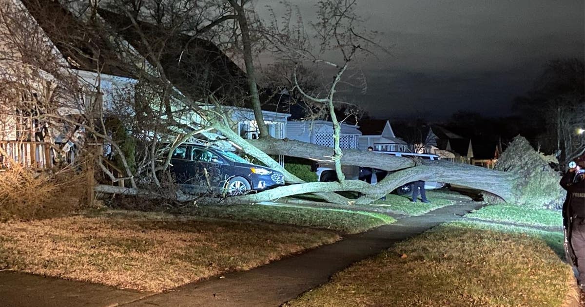 Wind Advisory until 2 p.m. in Michigan as damaging winds knock out ...