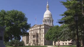 Michigan House approves putting term limits proposal on ballot