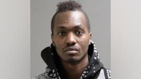 Detroit man charged with beating 3-month-old twins, animal abuse