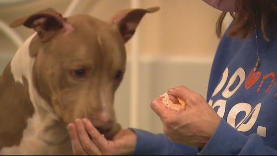 Livingston Area Pet Pantry helps families struggling to feed animals